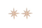 Stylish Design Star Rose Gold Colour 925 Sterling Silver Earrings studded with CZ
